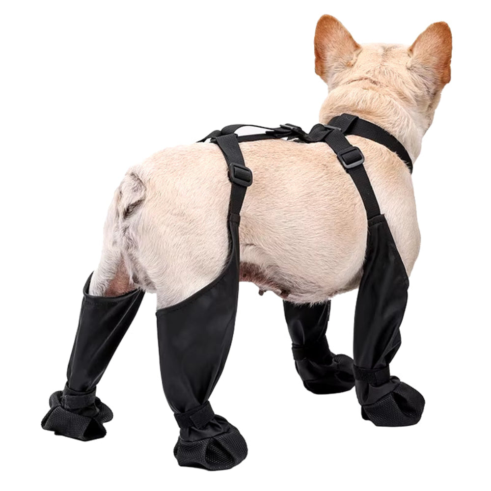 PawGuard Pro Dog Boots – Waterproof, Non-Slip Protection for Every Step