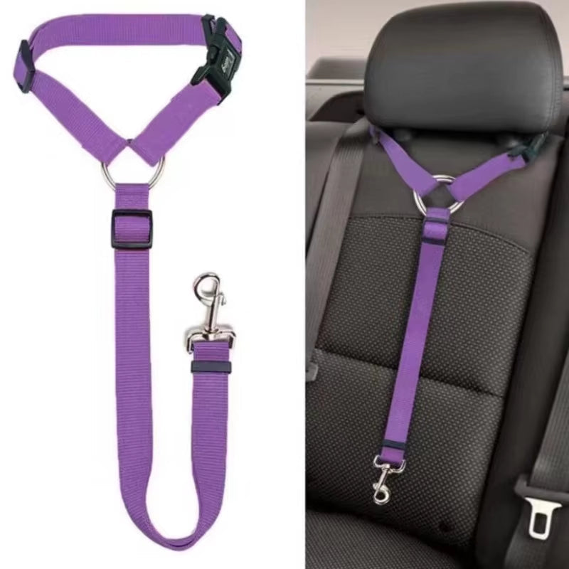 SafeRide DuoLeash – 2-in-1 Car Seat Belt & Walking Leash for Dogs on the Move